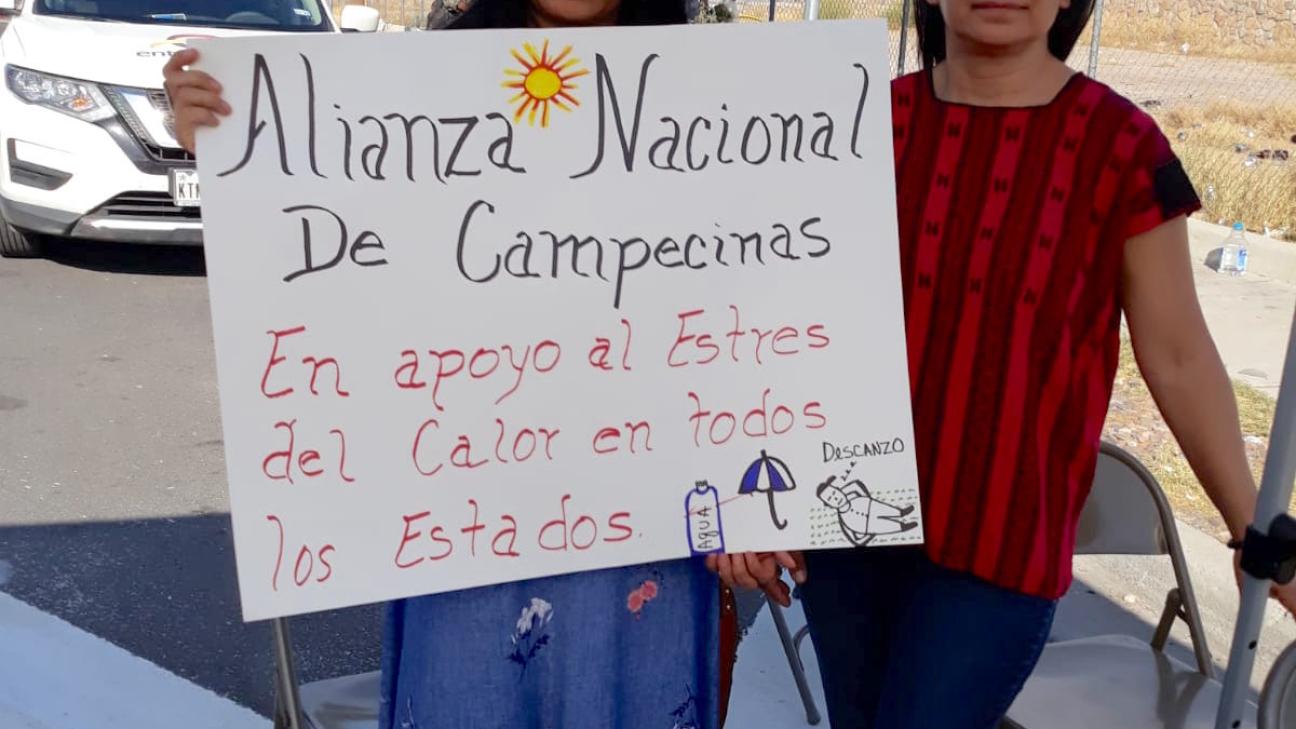 alianza1.jpeg